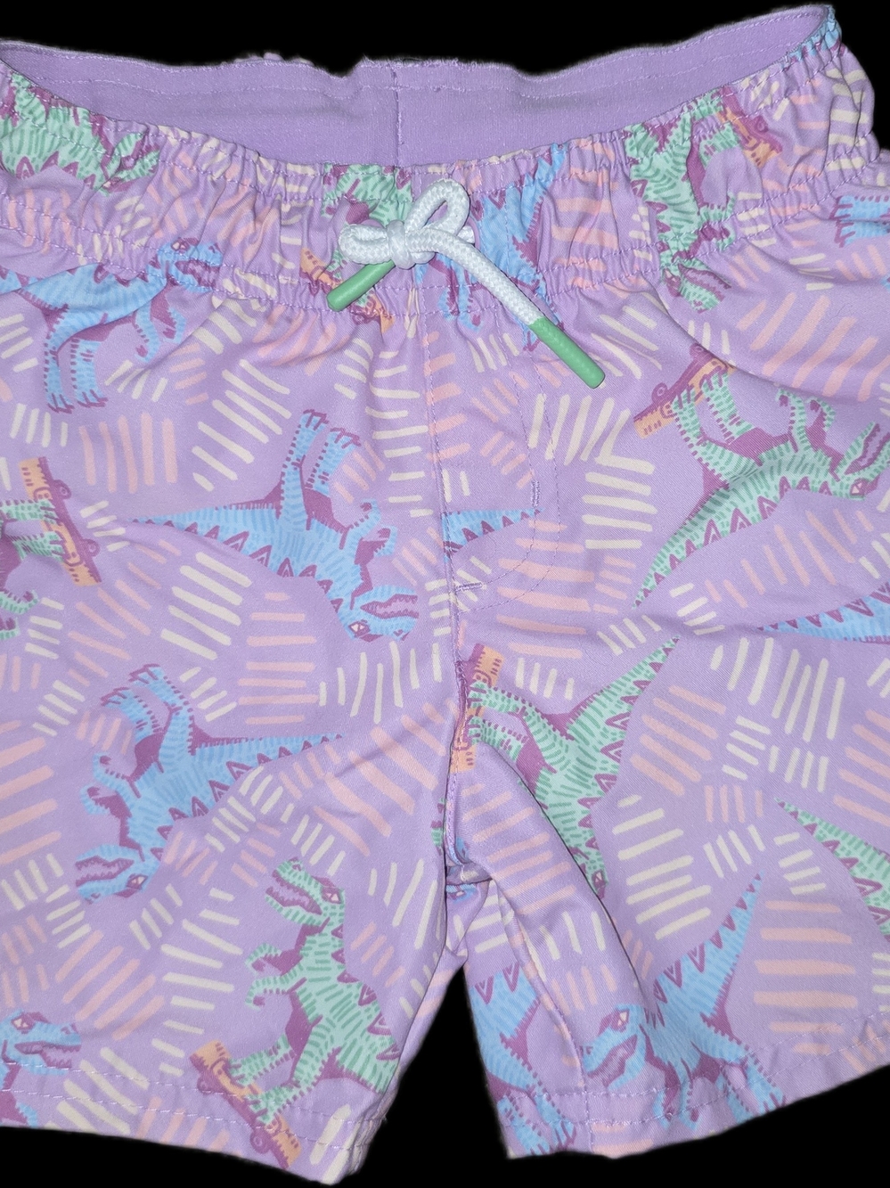 Cat & Jack Dinosaur Swim Trunks